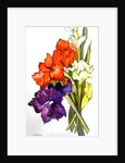 Gladioli, 2011 by Joan Thewsey