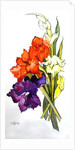 Gladioli, 2011 by Joan Thewsey