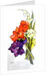 Gladioli, 2011 by Joan Thewsey