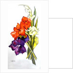 Gladioli, 2011 by Joan Thewsey