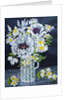 White Poppies, Marguerites and Philadelphus by Joan Thewsey