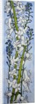 Hyacinths and Forget-me-nots, 2012 by Joan Thewsey
