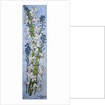 Hyacinths and Forget-me-nots, 2012 by Joan Thewsey