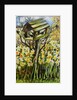 Daffodils, and Birds in the Birdhouse, 2000 by Joan Thewsey