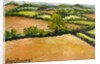 Little Suffolk Landscape, 2000 by Joan Thewsey