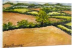 Little Suffolk Landscape, 2000 by Joan Thewsey