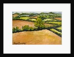 Little Suffolk Landscape, 2000 by Joan Thewsey