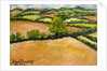 Little Suffolk Landscape, 2000 by Joan Thewsey