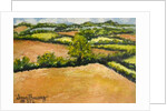 Little Suffolk Landscape, 2000 by Joan Thewsey