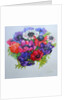 Anemones: red, white, pink and purple, 2000 by Joan Thewsey