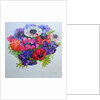 Anemones: red, white, pink and purple, 2000 by Joan Thewsey