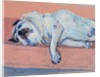 Sleeping Pug Two, 2000 by Joan Thewsey