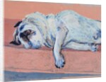 Sleeping Pug Two, 2000 by Joan Thewsey