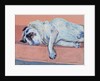 Sleeping Pug Two, 2000 by Joan Thewsey