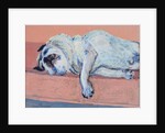 Sleeping Pug Two, 2000 by Joan Thewsey