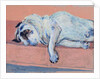Sleeping Pug Two, 2000 by Joan Thewsey