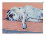 Sleeping Pug Two, 2000 by Joan Thewsey