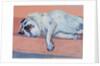Sleeping Pug Two, 2000 by Joan Thewsey