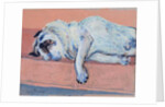 Sleeping Pug Two, 2000 by Joan Thewsey