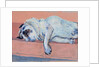 Sleeping Pug Two, 2000 by Joan Thewsey