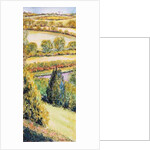 Suffolk Landscape, view from the front window, 2000 by Joan Thewsey