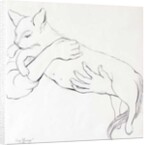 Cuddly Cat, 2000 by Joan Thewsey