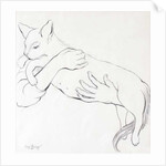 Cuddly Cat, 2000 by Joan Thewsey