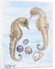 Two Seahorses, with Shells, 2000 by Joan Thewsey