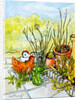 Hens and Pots, Lucy Redman Open Garden, 2000 by Joan Thewsey