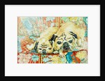 Pugs on a Chinese Print Sofa, 2000 by Joan Thewsey