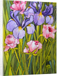 Roses and Irises in the Garden, 2003 by Joan Thewsey