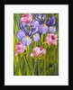 Roses and Irises in the Garden, 2003 by Joan Thewsey