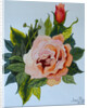 Pink Rose and Bud, 1986 by Joan Thewsey