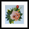 Pink Rose and Bud, 1986 by Joan Thewsey