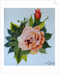 Pink Rose and Bud, 1986 by Joan Thewsey