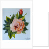 Pink Rose and Bud, 1986 by Joan Thewsey