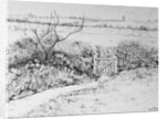Cottage Gate and View Beyond, 2015 by Joan Thewsey