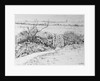 Cottage Gate and View Beyond, 2015 by Joan Thewsey