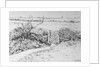Cottage Gate and View Beyond, 2015 by Joan Thewsey