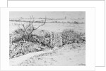 Cottage Gate and View Beyond, 2015 by Joan Thewsey