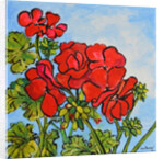 Geranium, 2017 by Joan Thewsey