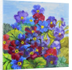 Blue Primroses, 2017 by Joan Thewsey