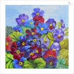 Blue Primroses, 2017 by Joan Thewsey