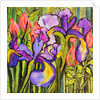 Irises and Roses, 2017 by Joan Thewsey
