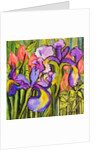 Irises and Roses, 2017 by Joan Thewsey