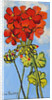Geranium Spray, 2017 by Joan Thewsey