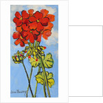 Geranium Spray, 2017 by Joan Thewsey