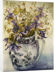 Iris, Chrysanthemums and Carnations in a Copeland Jug by Joan Thewsey
