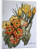 Crocus and Primroses by Joan Thewsey