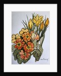 Crocus and Primroses by Joan Thewsey